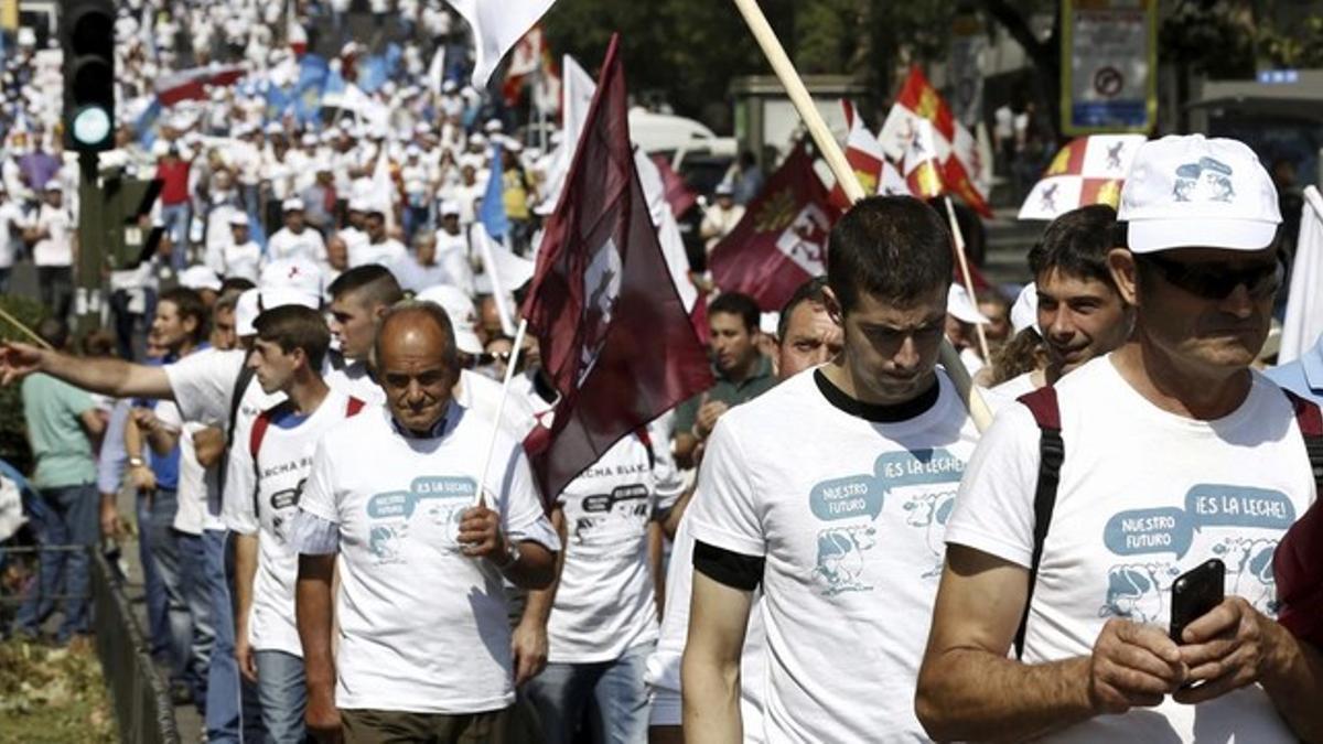 La Marcha Blanca de los ganaderos llega a Madrid.