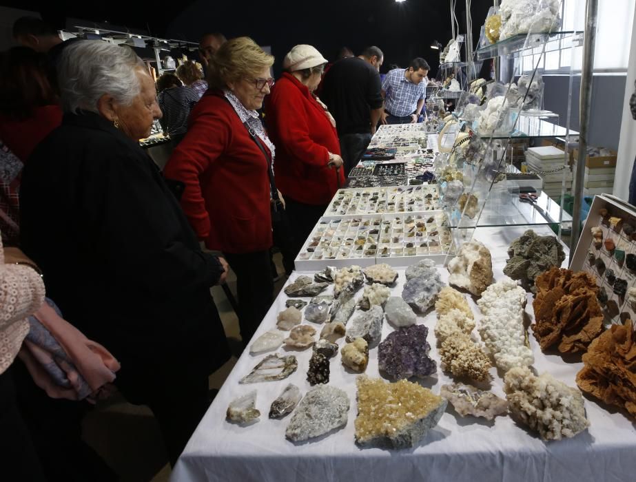 Meteoritos, gemas y fósiles al alcance de la mano en Vigo