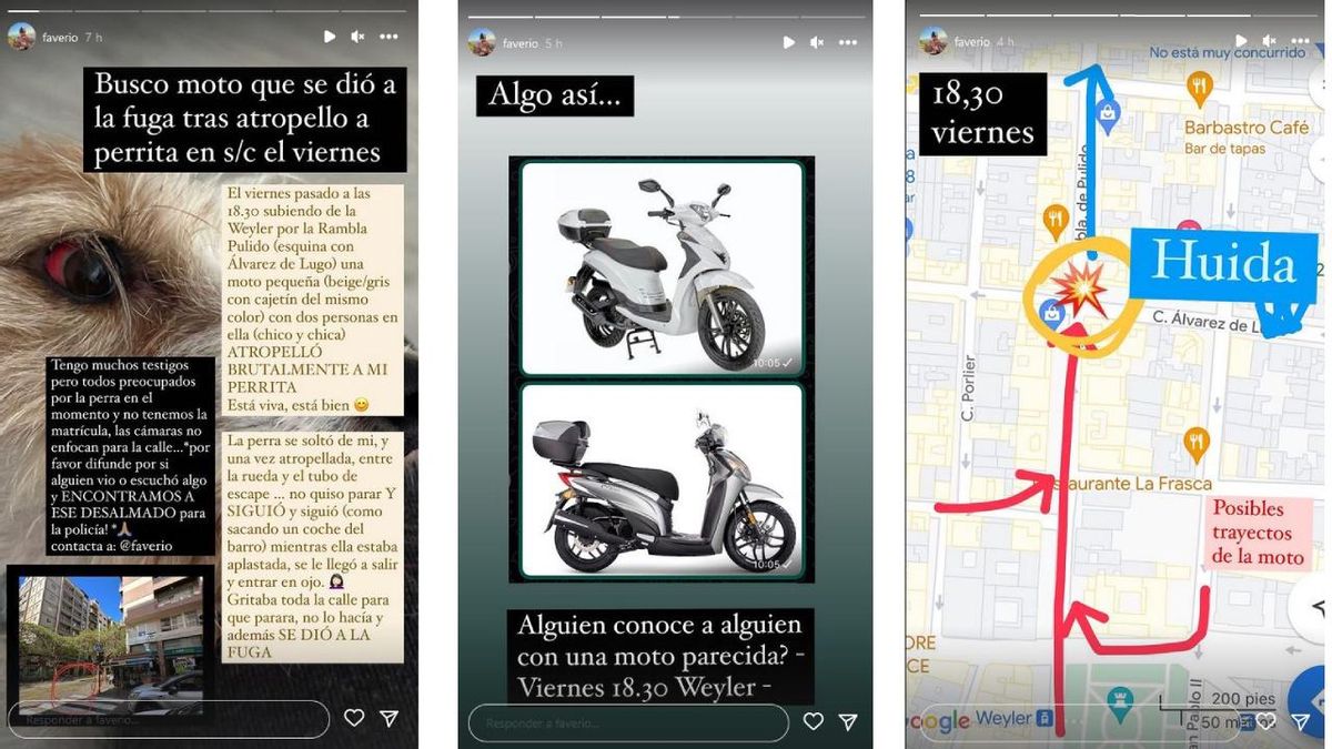 Capturas de las stories subidas por @faverio.