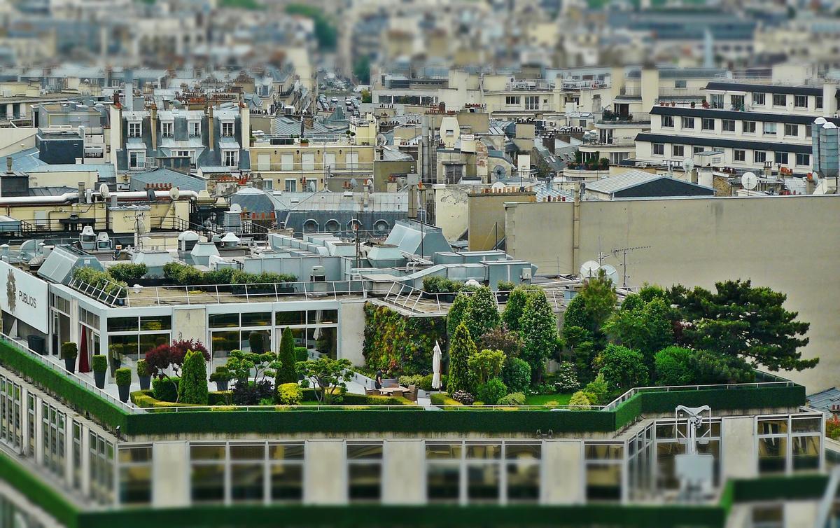 Terraza ajardinada.