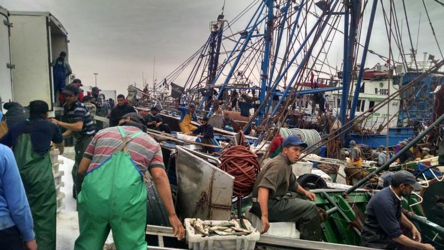 Pescadores en el puerto de Daklha.