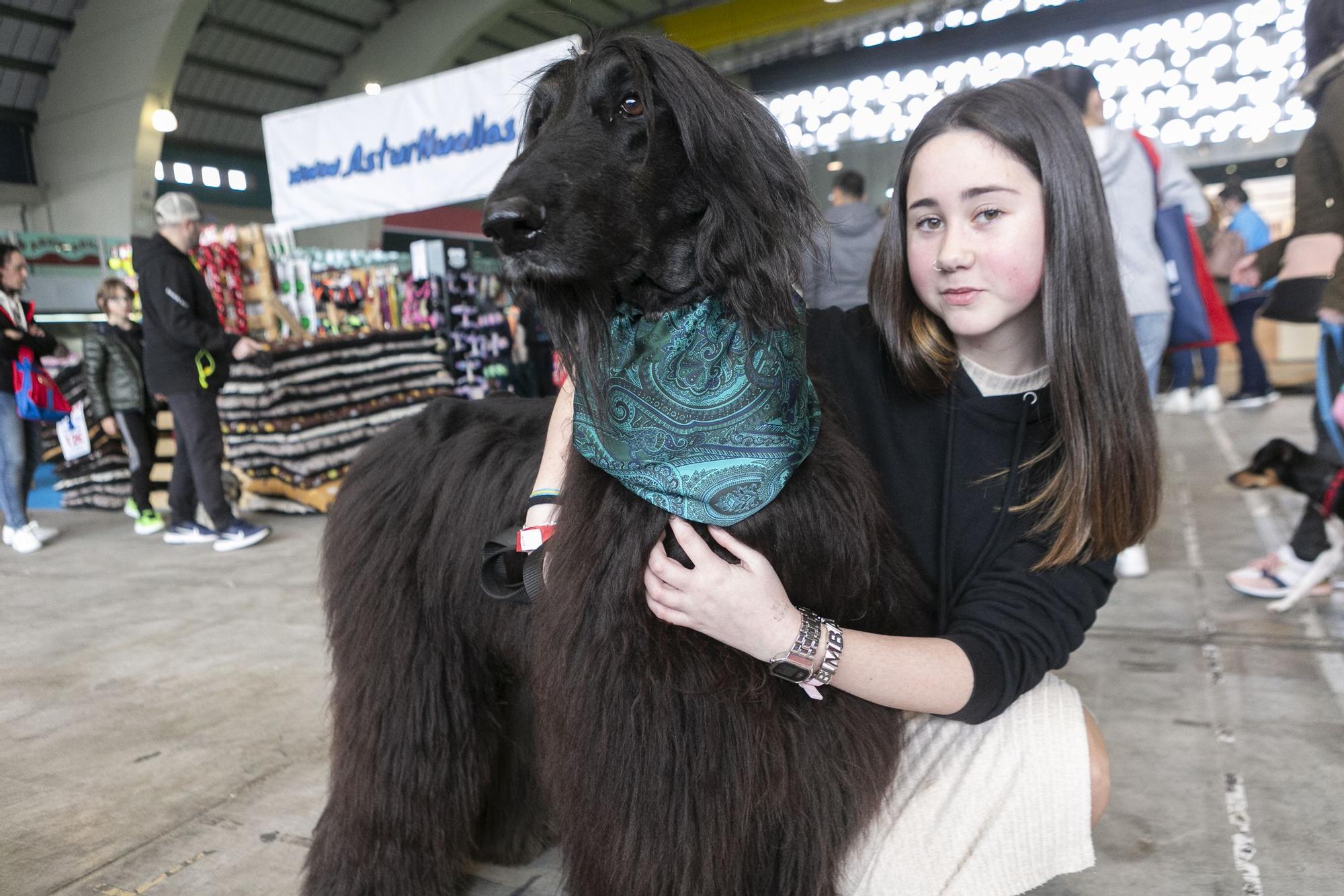 Inauguración del salón asturiano de las mascota.