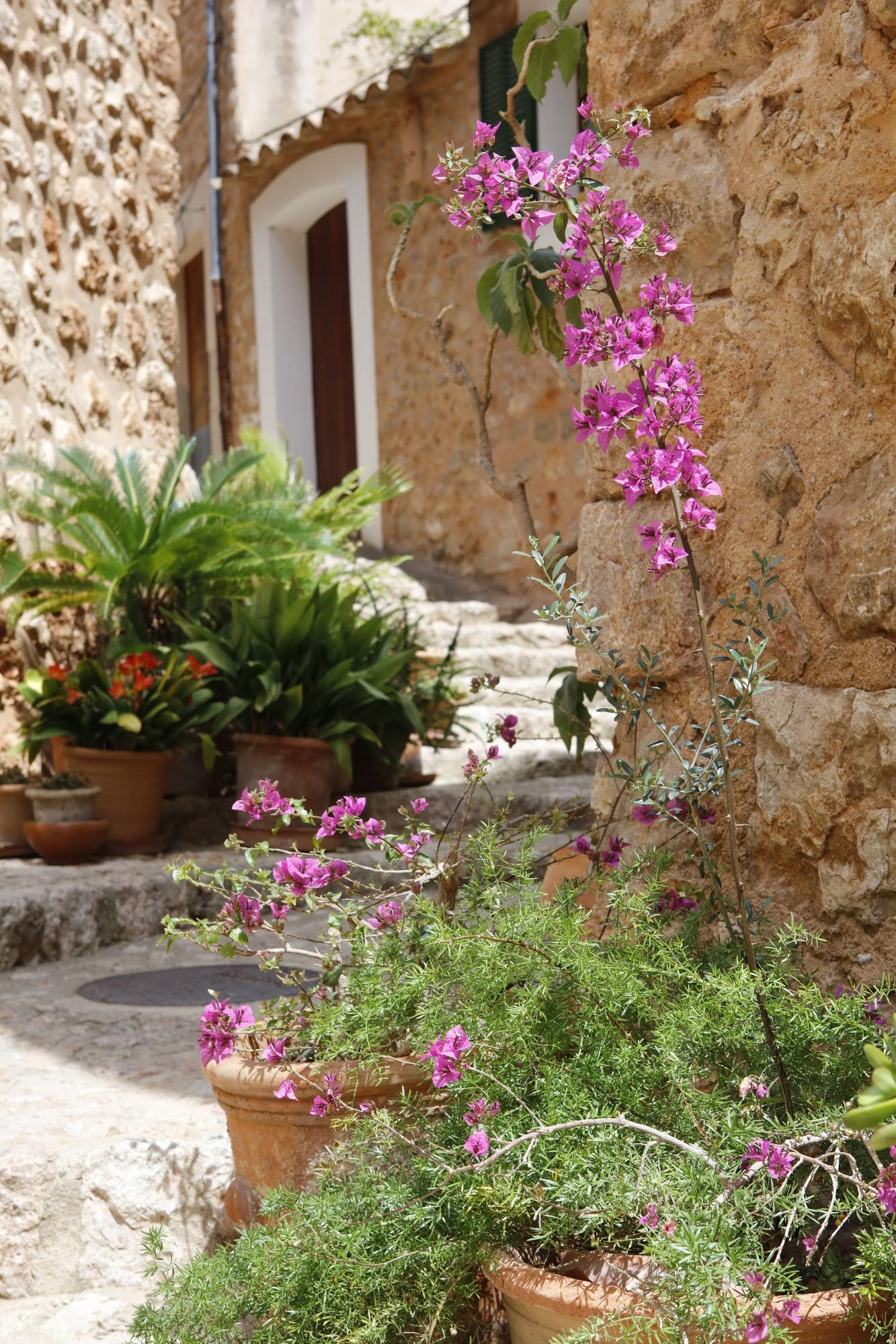 Fornalutx auf Mallorca: So sieht es derzeit im "schönsten Dorf" Spaniens aus