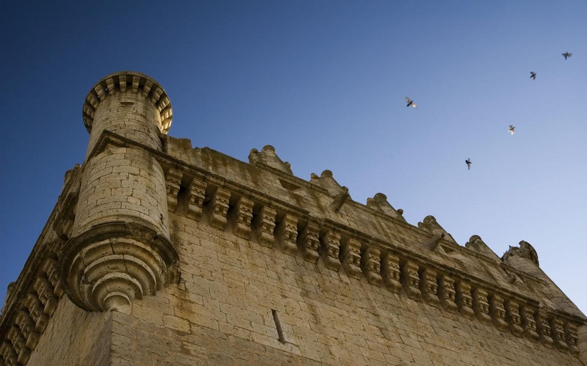 Castillo de Belmonte de Campos, Palencia