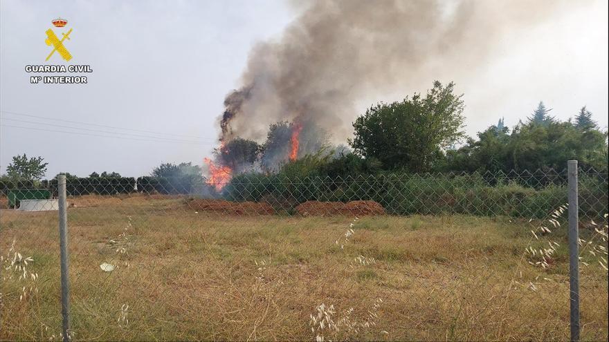 Detenido el autor de un incendio forestal en Lora del Río que provocó la muerte de ganado caprino