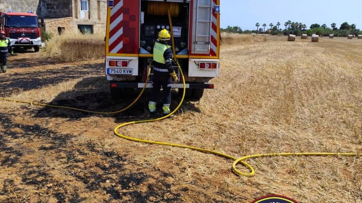 Los Bombers, en la finca agrícola de Campos afectada por el fuego.