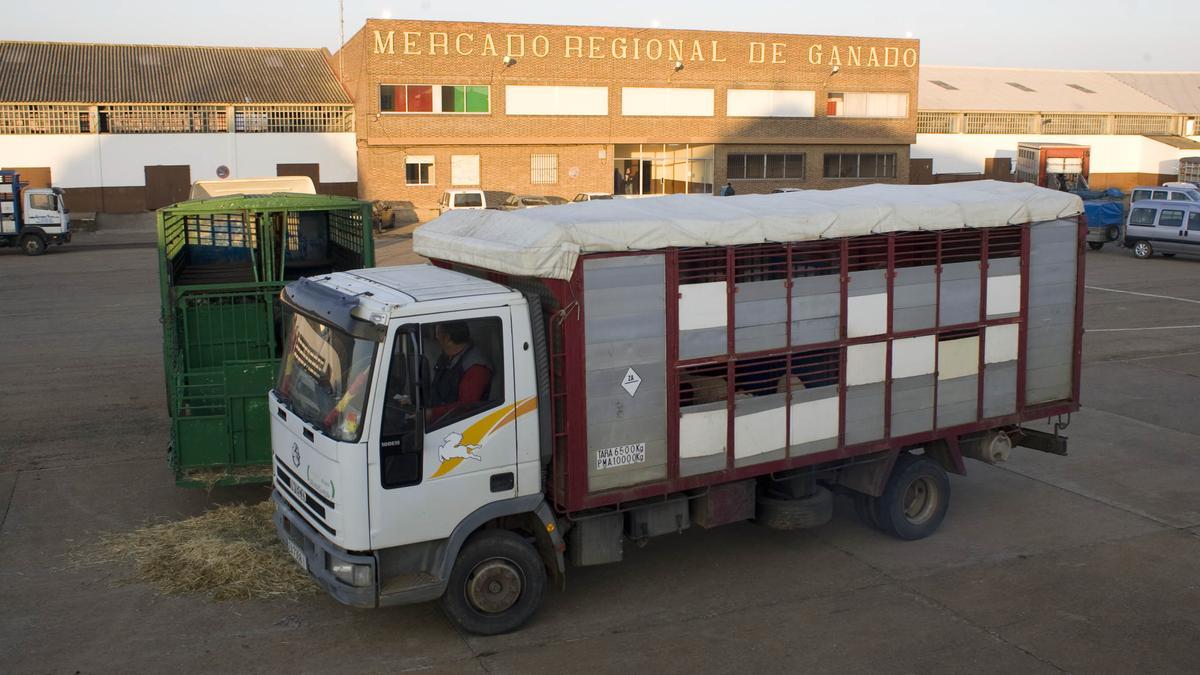 El mercado de ganados, será reformado como nuevo ente para ferias y eventos.