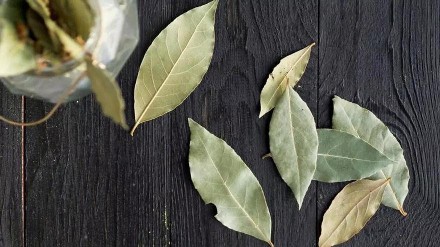 Laura Giraldo, experta en limpieza: &quot;Coloca hojas de laurel en las áreas donde se almacenan alimentos para evitar la aparición de gorgojo&quot;
