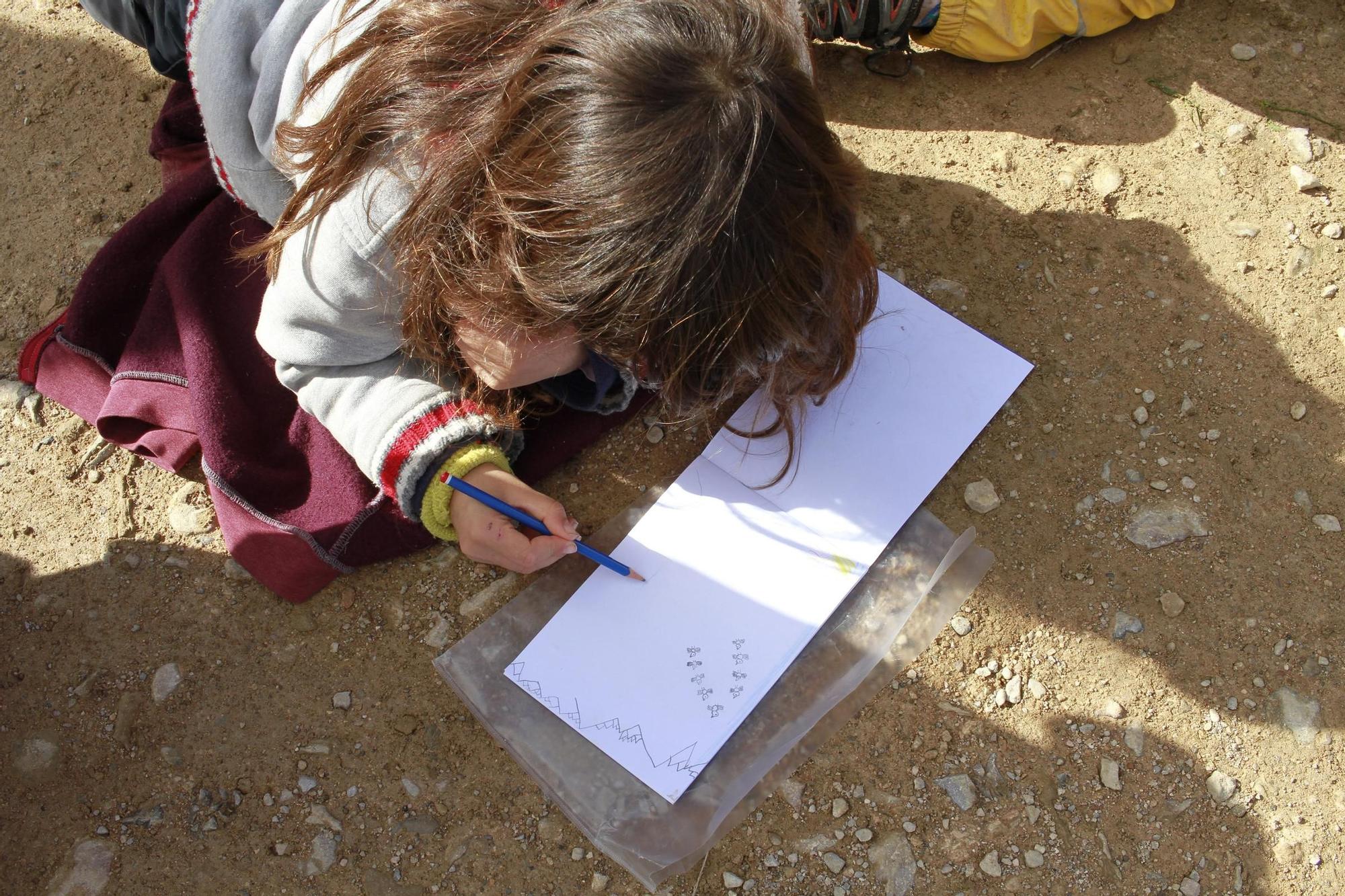 25.000 grullas levantan vuelo desde la alberca de Alboré