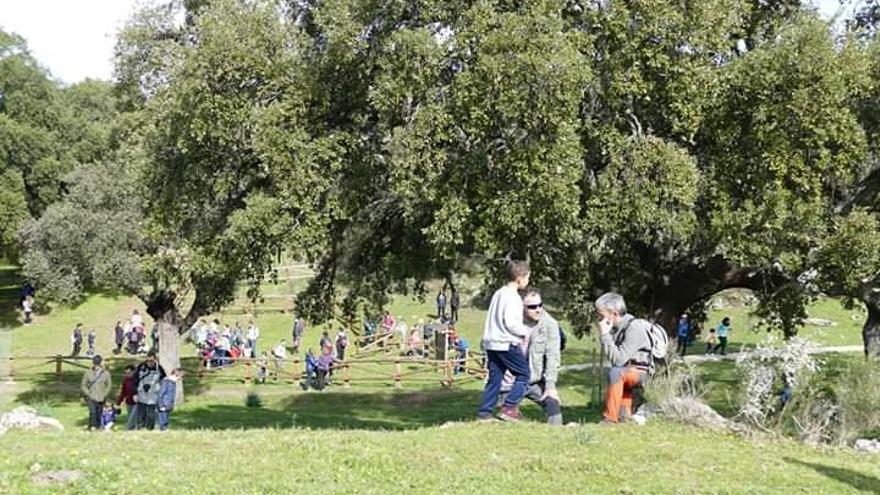 El Campo Arañuelo realza sus recursos para atraer población