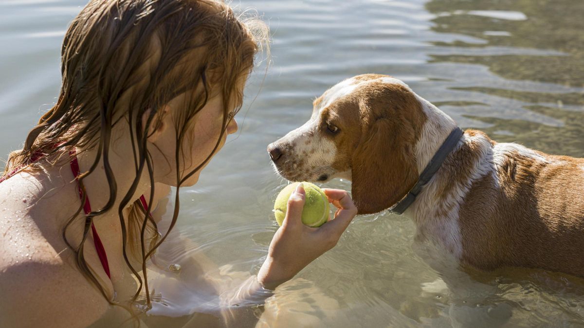 Una niña jugando con un perro en el agua