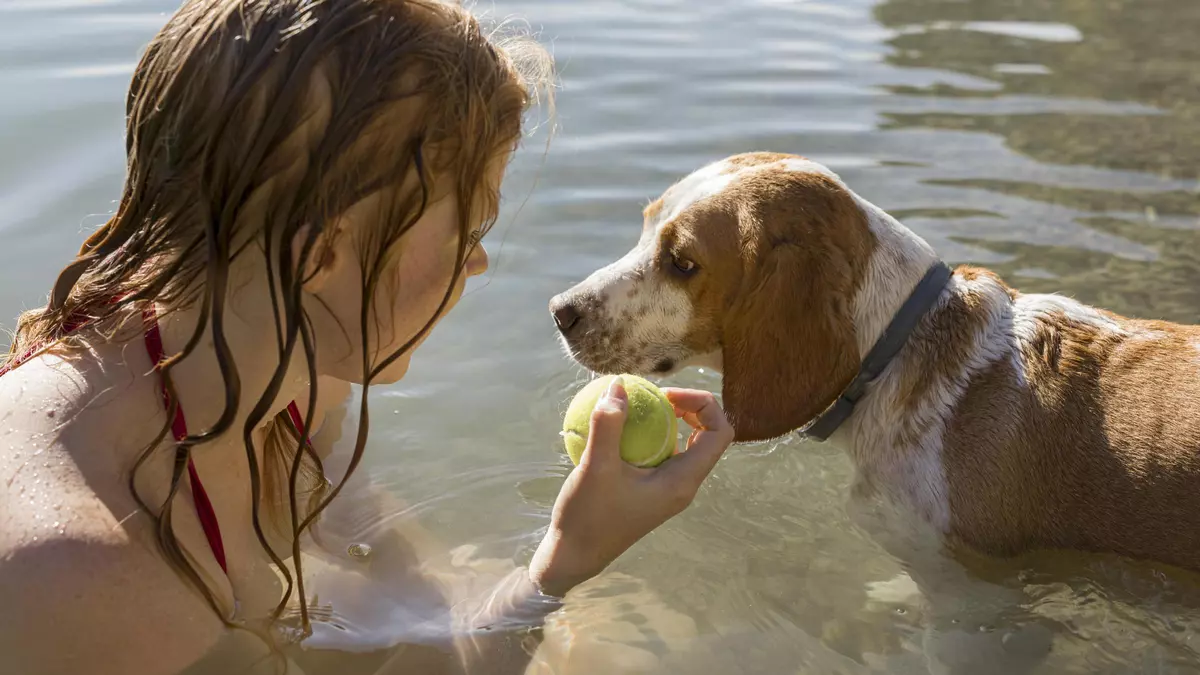 Concurso "La Foto del Verano": ¡Participa con tu Mascota y Gana Premios Espectaculares!