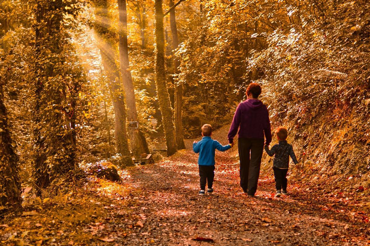 Los 'baños de bosque' mejoran la salud física y mental.