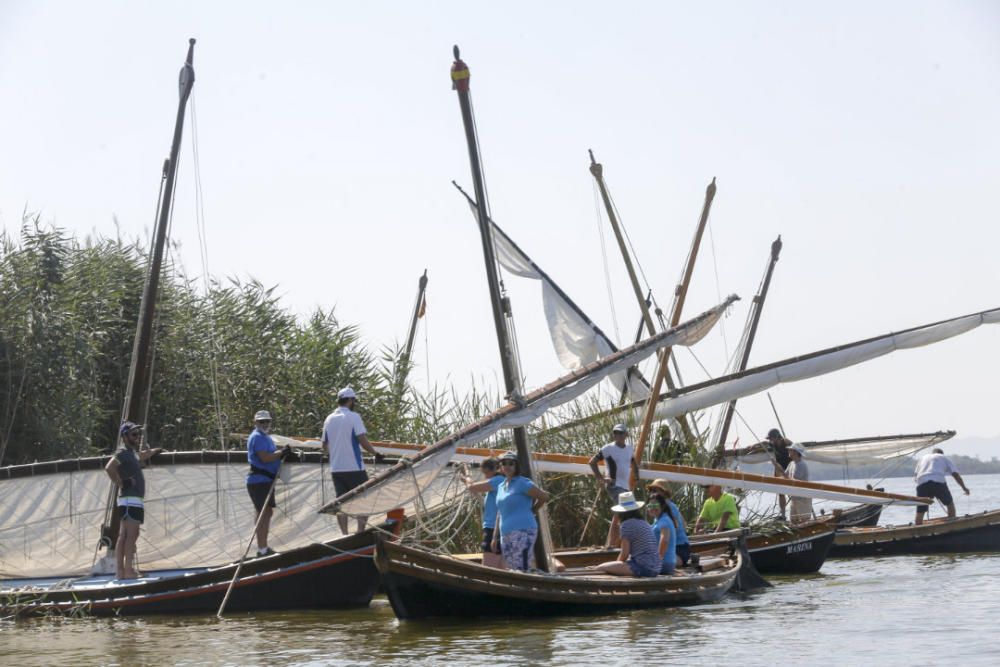 Regata-exhibición de vela latina en l'Albufera