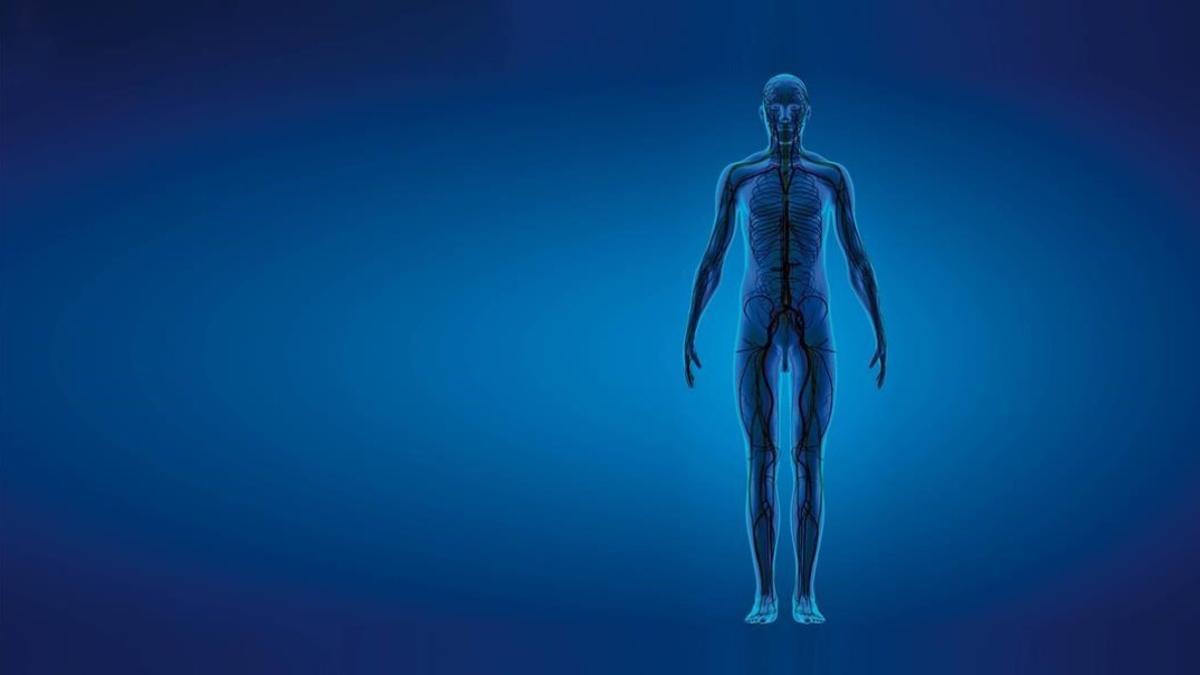 amargets34668138 dominical 721 limpiarnos por dentro160712183324