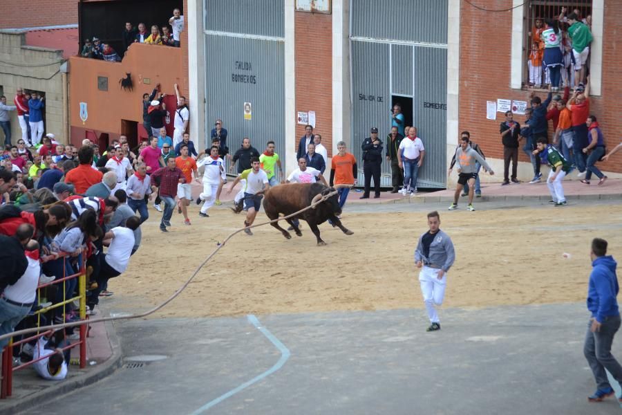 Enmaromado 2016: Lechugazo da la talla