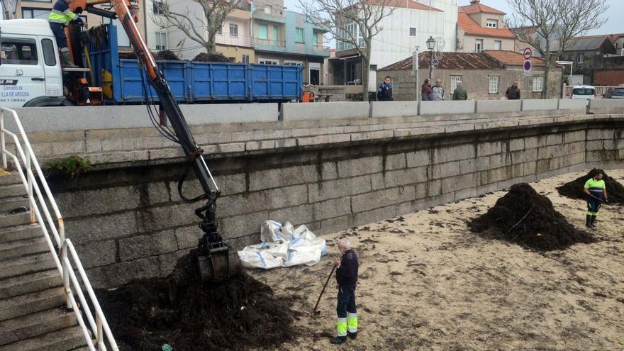 El episodio de contaminación de la ría de Arousa con fuel empieza a disiparse