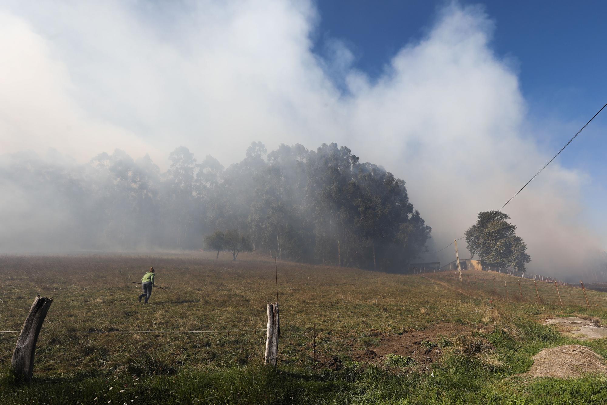 En imágenes: se reactiva el incendio en la vertiente gijonesa del Monte Areo