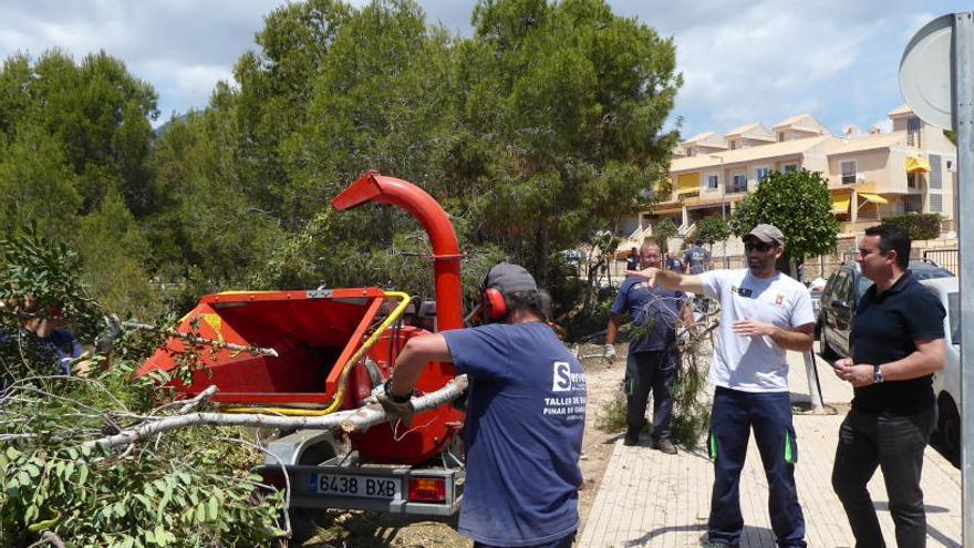 La Nucía limpia 35.000 metros cuadrados de barrancos para prevenir incendios forestales