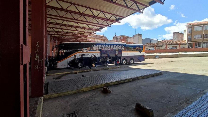 Pasajeros colocando sus equipajes en un autobús de Monbus en la estación de Benavente.
