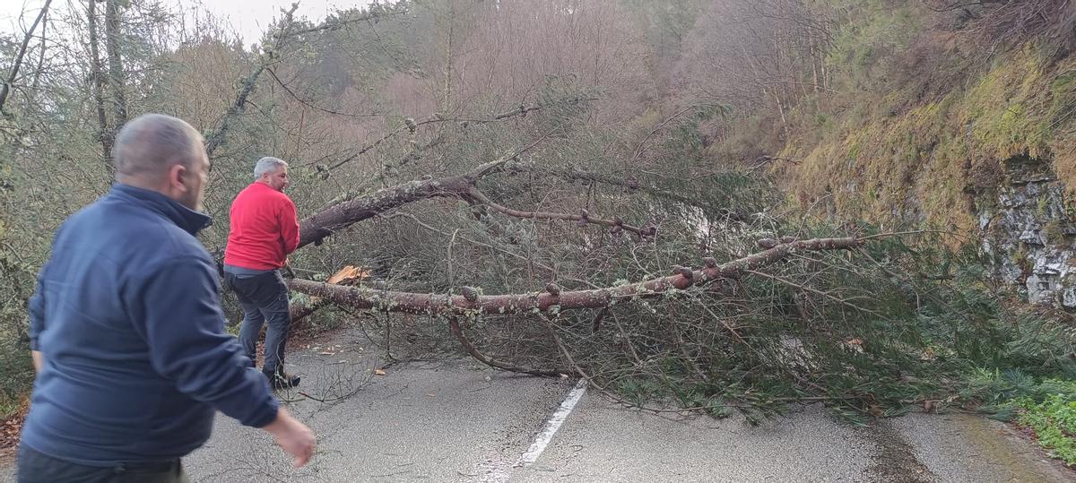 Vecinos ayudan a Santiago García y a Nesti Rodríguez a despejar el camino para que LA NUEVA ESPAÑA llegue a los pueblos del Occidente.