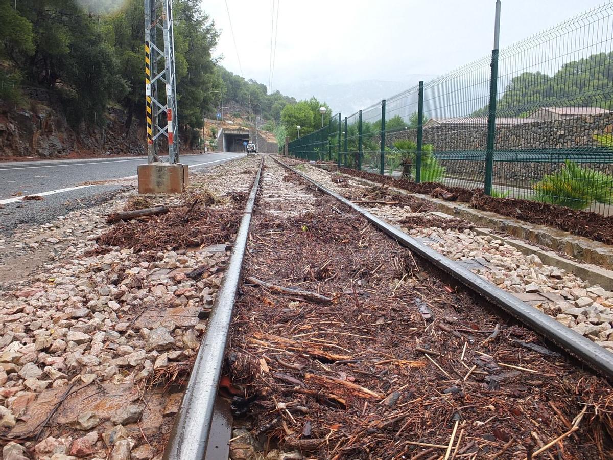 Los efectos de la DANA en Port Sóller, en imágenes