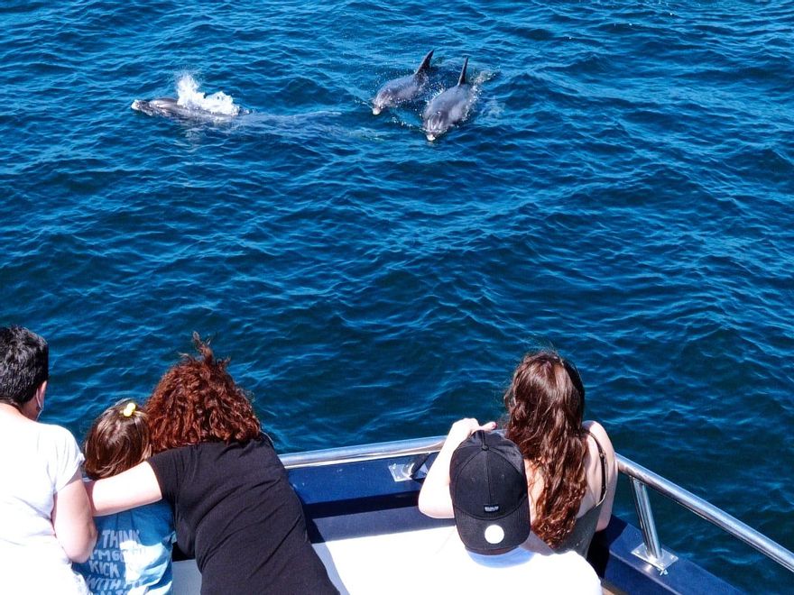 Viajeros de uno de los barcos de Cruceros do Ulla observando delfines.