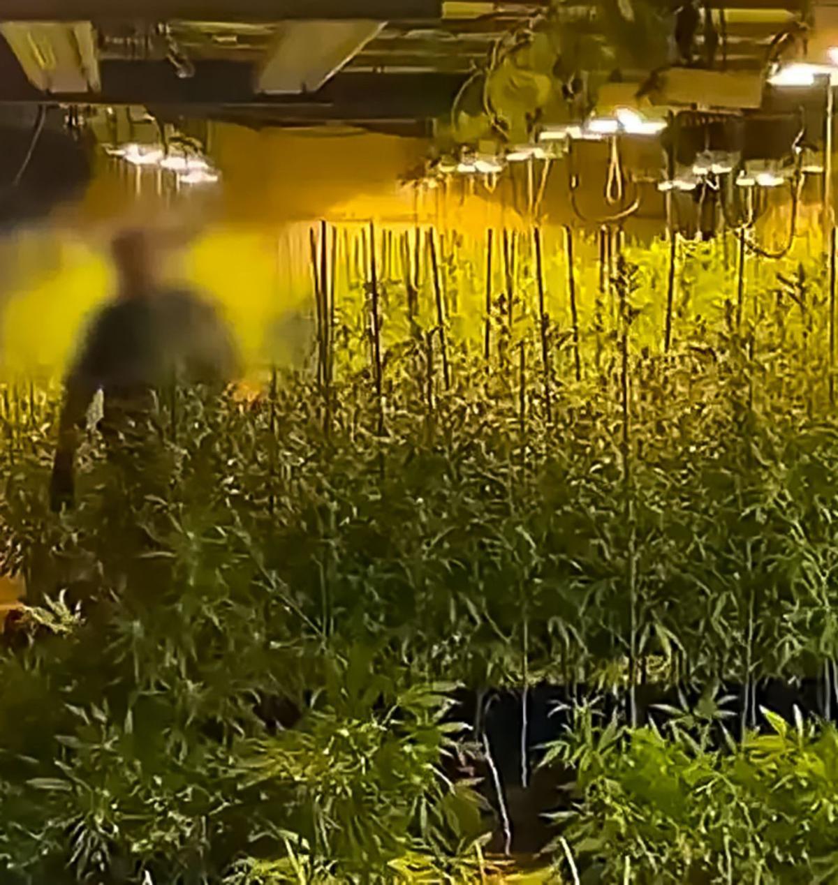 Com estrènyer el setge