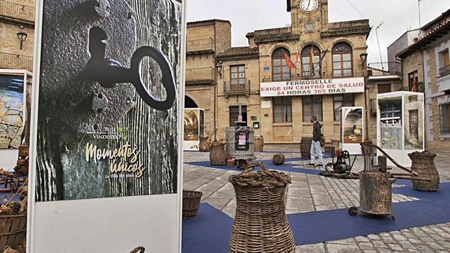 Piezas de viticultura colocadas en la exposición. |