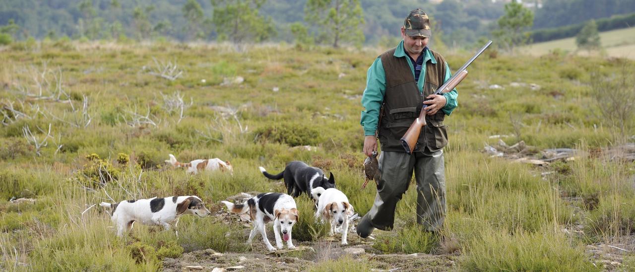 Un cazador, con una perdiz y sus perros, en el Alto de Balibo, en Vilatuxe, en una campaña anterior.
