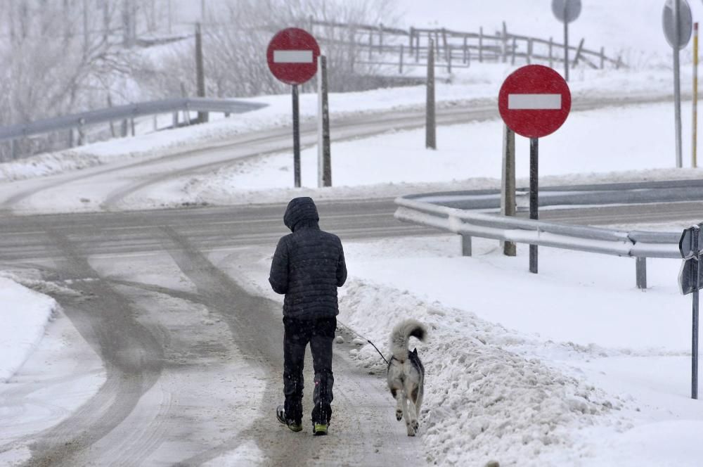 Asturias bajo el primer manto de nieve del año