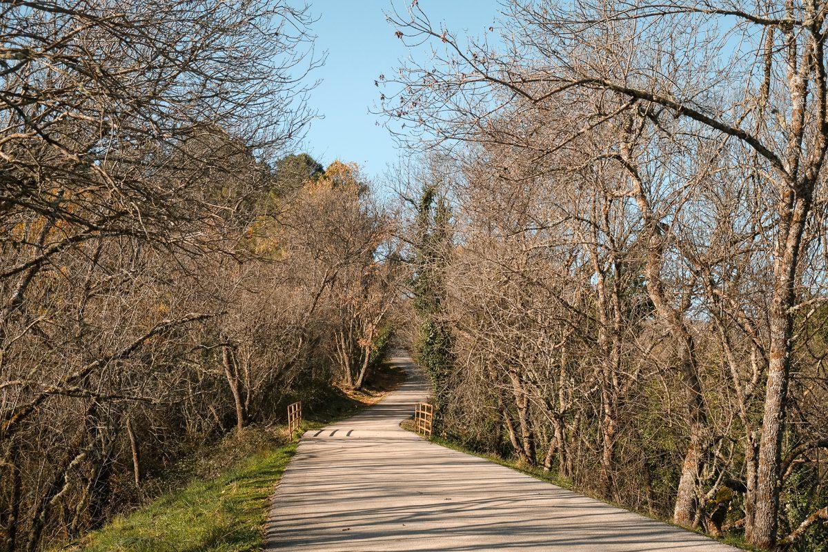 Ruta de los Castaños