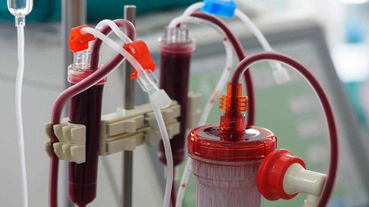 Lavado de sangre contra la COVID-19: qué es y por qué es contraproducente