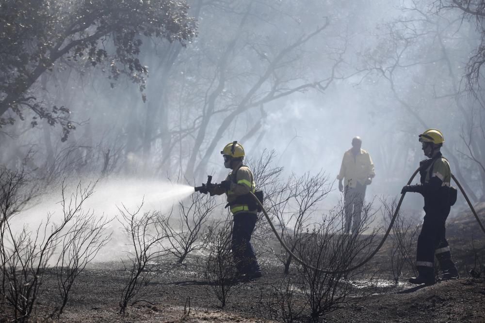 Incendi a al polígon industrial de Maçanet