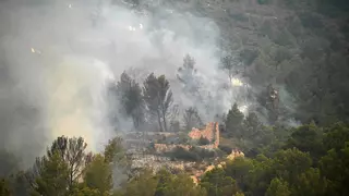 El humo y la ceniza del incendio del sur de Francia llegan al litoral catalán y Baleares