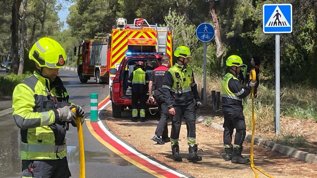 Los bomberos del Ayuntamiento de València intensifican el control en la Devesa del Saler.