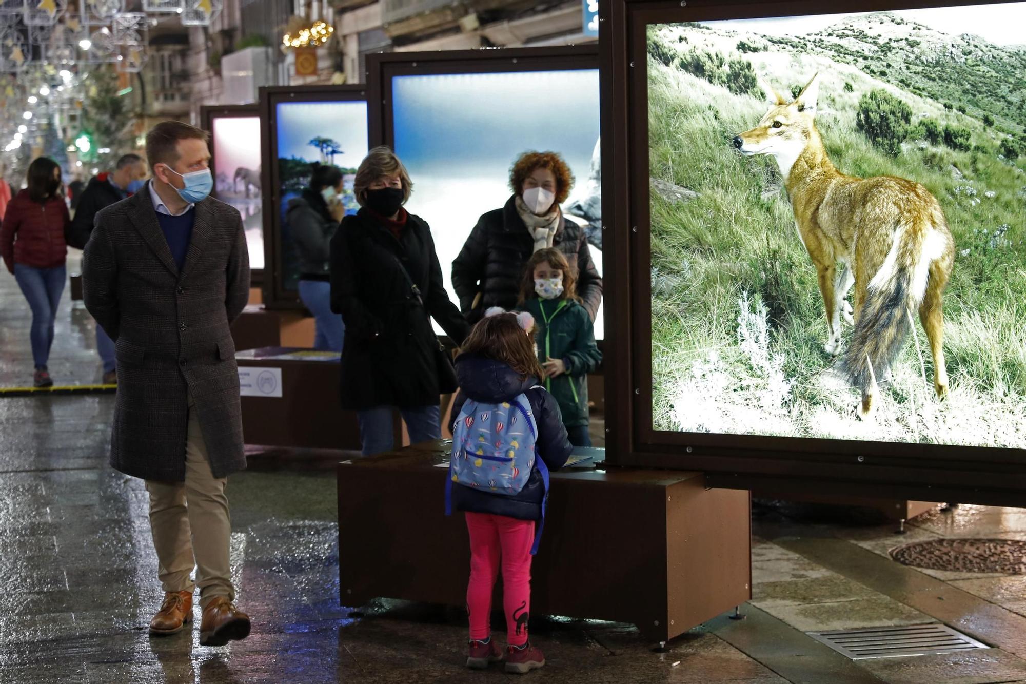 La naturaleza de National Geographic a pie de calle en Vigo