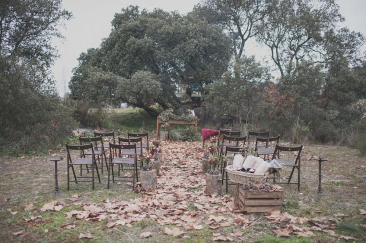 Detalles de ceremonia: Carlos Aragón Fotografía