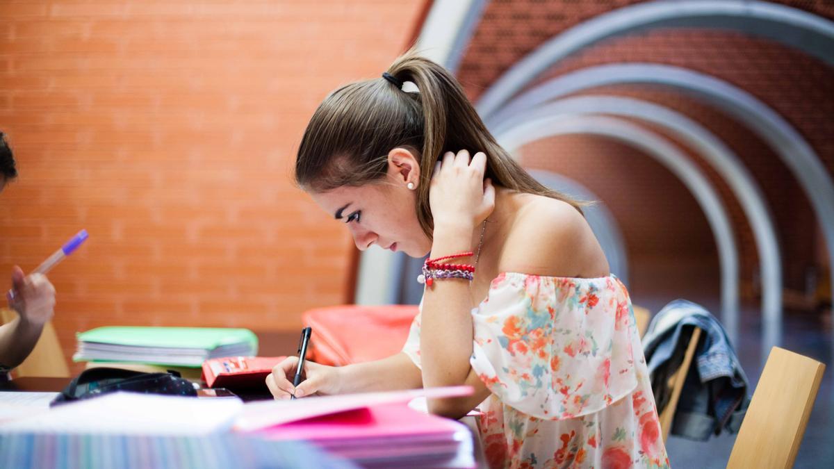 La Universitat de València cuenta con varias titulaciones de doble grado en las áreas de Ciencias y Humanidades.