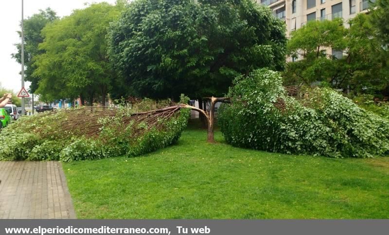 Imágenes de las tormentas en Castellón