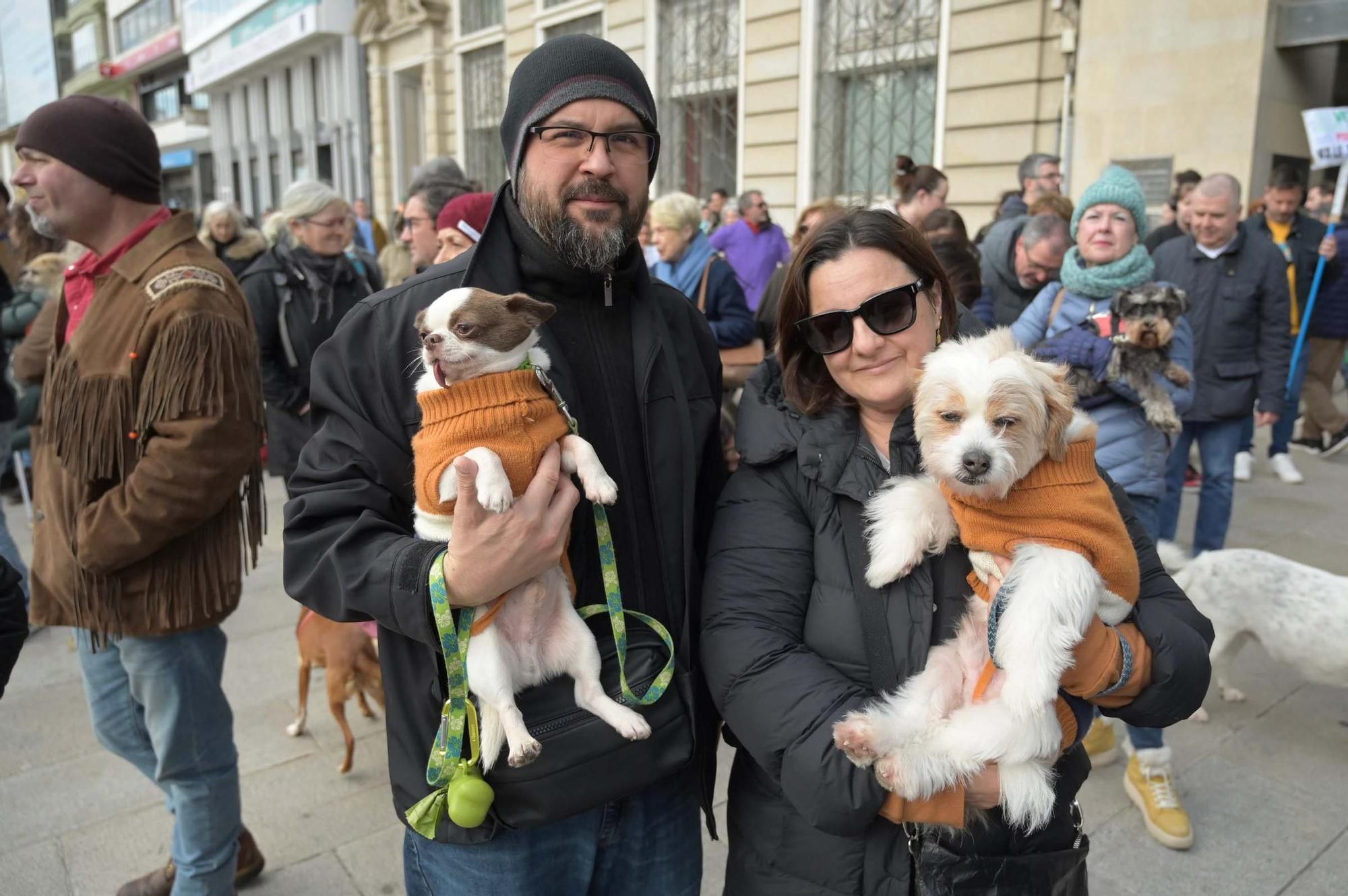 Protesta de veterinarios contra el nuevo decreto del Gobierno que regula el uso de medicamentos