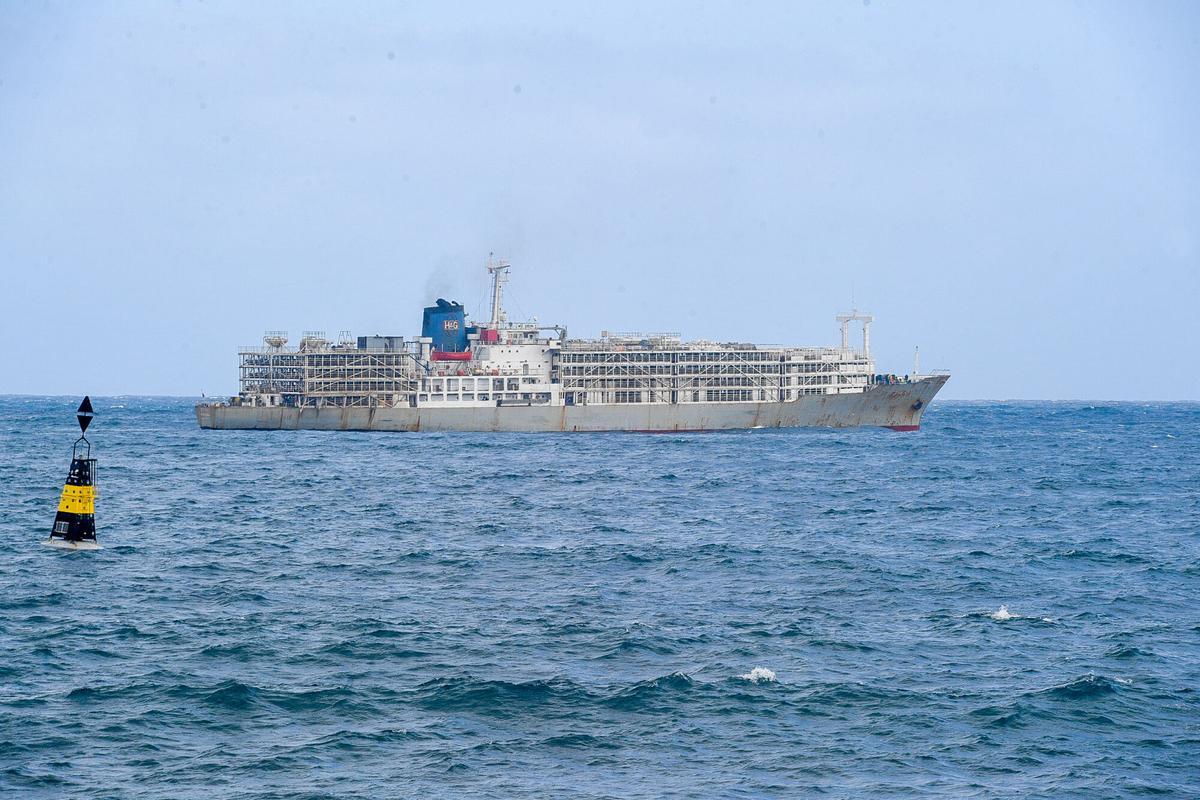 Barco 'Zein I', fondeado cargado de vacas en el Puerto de Las Palmas Barco 'Zein I', fondeado cargado de vacas en el Puerto de Las Palmas