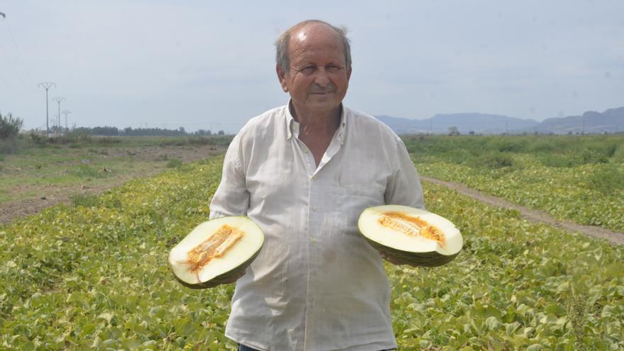 ¿Cómo comprar el mejor melón? Un melonero con 43 años de experiencia revela el secreto mejor guardado