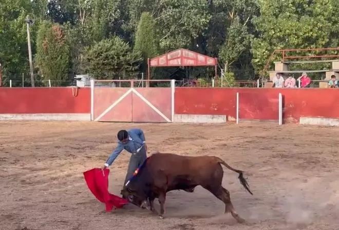 Futuro ilusionante para el toreo zamorano
