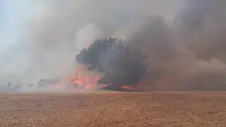 Alerta por riesgo de incendios forestales los días 16 y 17 de julio en Zamora