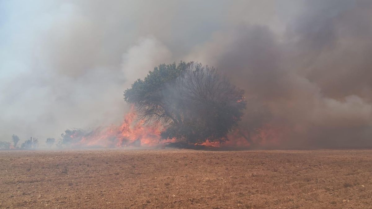 Incendio registrado en una finca de la localidad de Cibanal.
