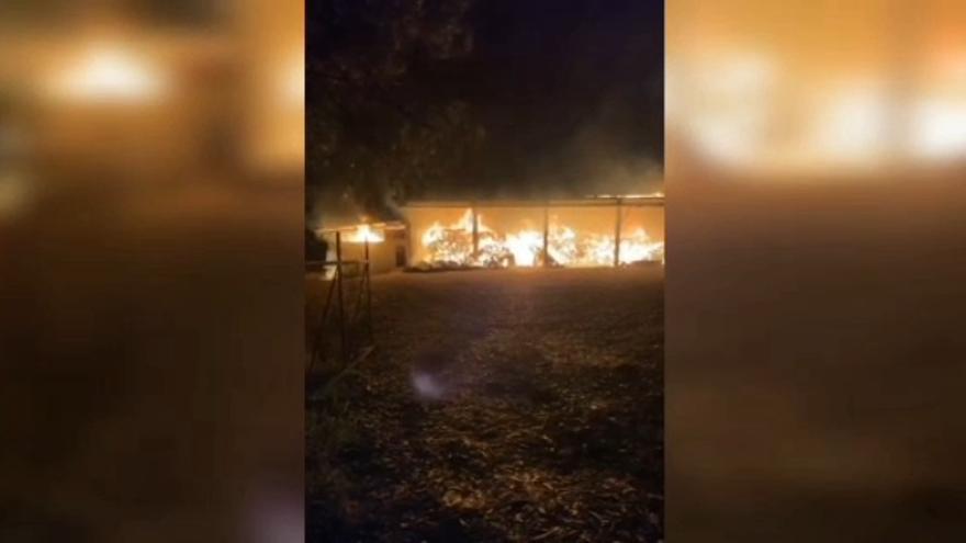 Un incendio nocturno arrasa parte del aserradero estradense de Berres