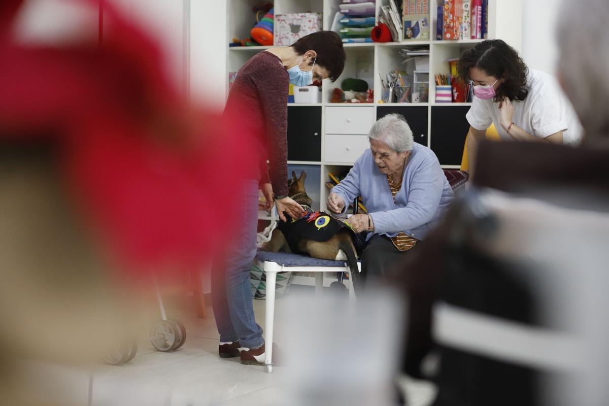 Frida, la perra de terapia asistida en una residencia de Zaragoza