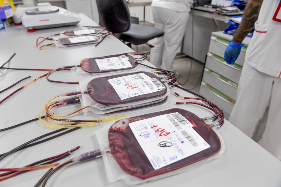 Almacenamiento de las donaciones de sangre en el ICHH