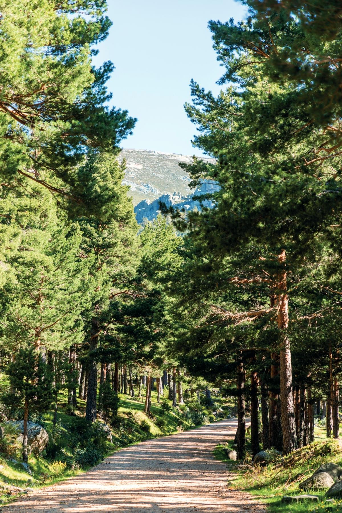 Navacerrada, Madrid